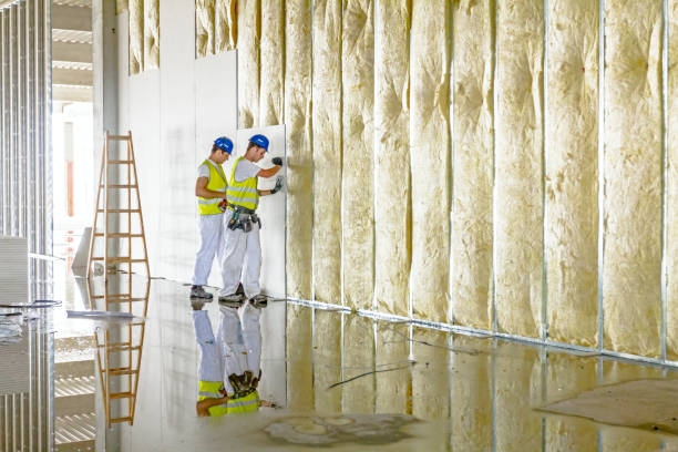 Trusted New Market, TN Insulation Contractor Experts